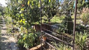 07.10-29.10.25г.Перекраска кухонных фасадов своими 🤲.Теперь у нас -кухня нашей мечты.