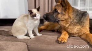 youtube-d-ph4xwhqa-300_deaBmM12