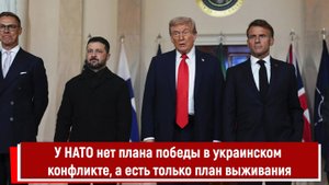 У НАТО нет плана победы в украинском конфликте, а есть только план выживания