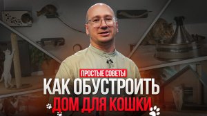 Дом для кошки - в котокафе с зоопсихологом Мирославом Волковым