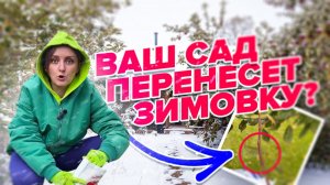 ГОТОВИМ ПЛОДОВЫЙ САД К ЗИМЕ