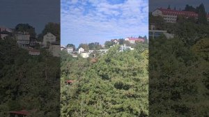 История Дендрария в г.Сочи☺