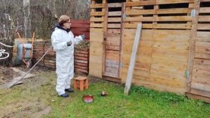 Дачные дела осенью.