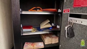 У девяти задержанных полицией Пензы дроповодов изъято 30 млн рублей и 6 дорогостоящих иномарок