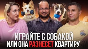КАК ВЫБРАТЬ ПРАВИЛЬНУЮ ИГРУШКУ ДЛЯ СОБАКИ?