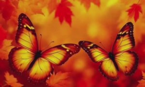 Осенние бабочки