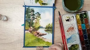 Выборгский залив, сосны и камни. Детали.