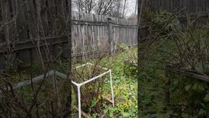 Трудимся в деревне 16-18.10 и 25-26.10.2025г