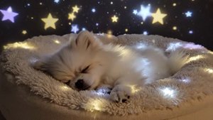 Музыка для сна для ребенка - Колыбельная для малышей перед сном - Создаем эксклюзивные клипы и песни