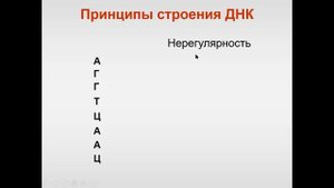 нуклеиновые кислоты 2