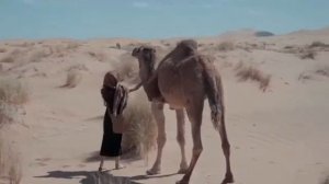 УСМИРИТЬ СВОЮ ГОРДЫНЮ