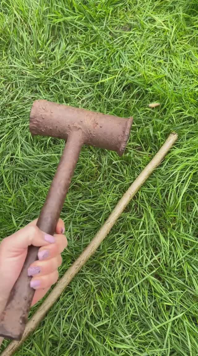 ТАКОГО ВЫ ЕЩЁ НЕ ВИДЕЛИ‼️ - новый способ подкормки растений #ягоды