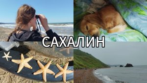 САХАЛИН / ЛЕТО / СЕМЬЯ / КАНИКУЛЫ