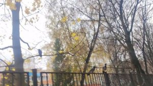 29 октября магический прогноз погоды от волшебника...