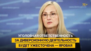 Уголовная ответственность за диверсионную деятельность будет ужесточена — Яровая