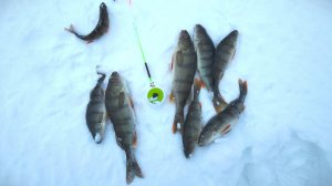 Распаковка посылки с удочкой зимней Пирс-Мастер Балалайка Классика