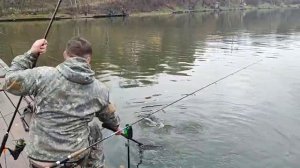 Форель на резину