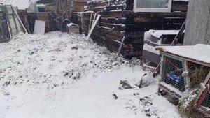 К нам пришла зима. Жизнь в деревне.