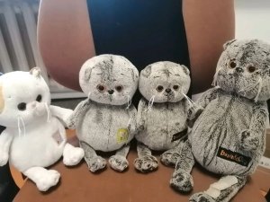 Арбузик Приехал😊🇷🇺💋