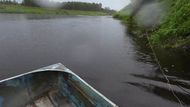 Ус откусили