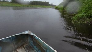 Ус отклеился...