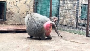 Лида КИНУЛАСЬ НА Люсю, но Елисей ее ЗАЩИТИЛ И ДАЖЕ ОБНЯЛ!