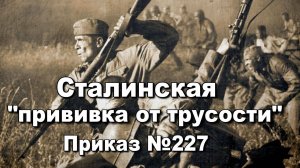 Сталинская прививка от трусости Мифы и правда. Приказ №227. Штрафбаты. Юрий Рубцов. История ВОВ.