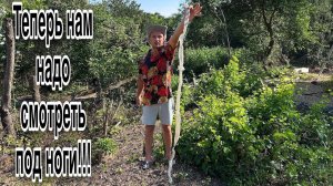 #14 УЕХАЛИ ИЗ ЛАТВИИ В РОССИЮ_ДЕЛАЕМ ЗАГОТОВКИ НА ЗИМУ_СТРОИМ ДОМ_ЧИСТИМ УЧАСТОК_КУПАЕМСЯ_НАШЛИ ЗМЕЮ