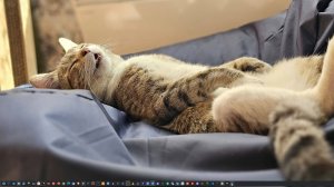 Учёба, видео по Linux задержатся, я не прощаюсь.