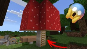 Оказывается всё это время в этом грибе кто-то жил в minecraft | ДимА4 minecraft!