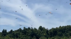 100 "мальков" против одного гиганта! Самый большой радиоуправляемый пенолёт, воздушный бой сотни.