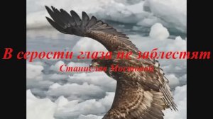 В серости глаза не заблестят