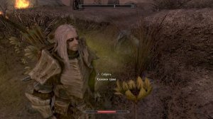 Skyrim. Довакин кашляет