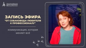 От собаковода-любителя к профессионалу. Коммуникация, которая меняет все