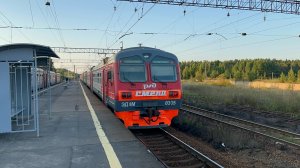 «Скрещение!» Электропоезд ЭД4М-0365 «Смена» на ст.Мюллюпельто, сентябрь 2025 года