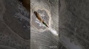 ГСМ Опасен для Шины, в редких Случаях остаётся Шанс, сделать Ремонт #ремонтпорезовшин #вулканизация