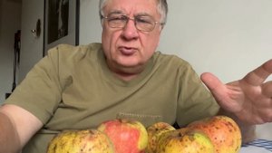 Горькая болезнь яблок!