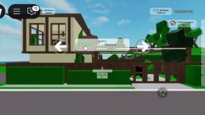 Мы играем с котом