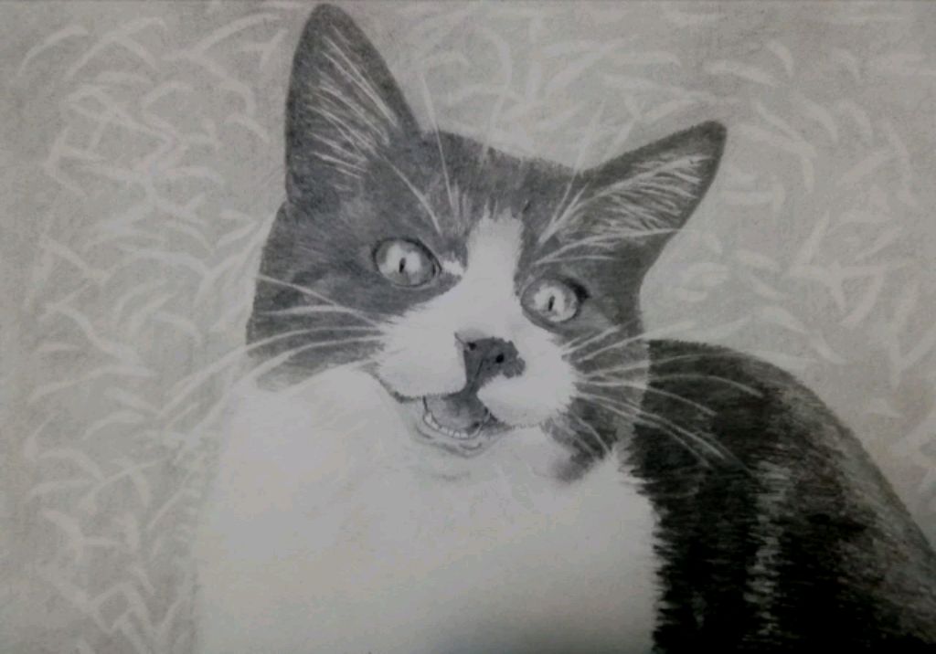 ПРИСЕДАЮ ПОКА НЕ НАБЕРЁТСЯ 10 ЗРИТЕЛЕЙ смотреть онлайн