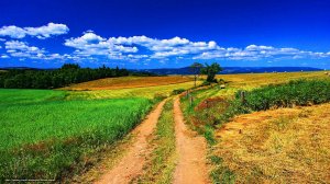 Сейчас всё брошу и уеду в дальний путь -Михаил Березуцкий