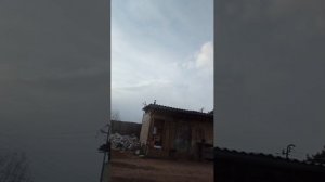 стрим 🔴 колем дрова #2