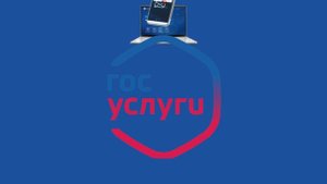 Срок уплаты имущественных налогов - не позднее 1 декабря