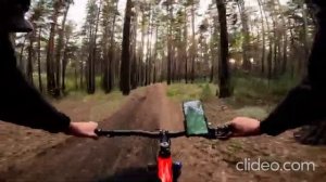 страшные истории. ночевка в машине и волк встал на ноги