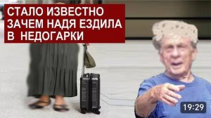 САМВЕЛ АДАМЯН, ОБЗОР ОТ СК, ВОТ ЗАЧЕМ НАДЮХА ЕЗДИЛА В НЕДОГАРКИ..