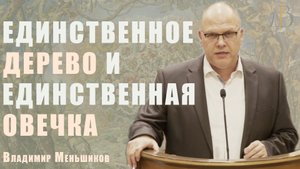"Единственное дерево и единственная овечка" - Владимир Меньшиков | Проповедь