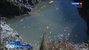 Вести на черкесском языке 28.10.2025