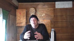 Выходят ли медведи зимой из берлоги