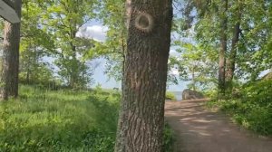 Здравствуйте ТНВ 21.10.2025