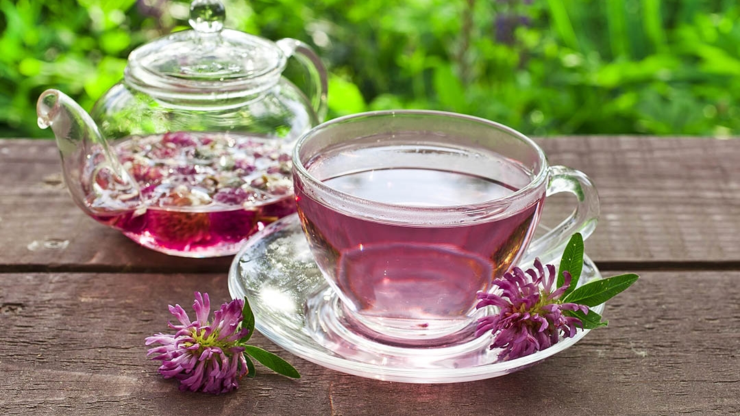 Клеверный чай. Польза