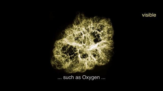 Crab Nebula_ The Multiwavelength Structure of a Pulsar Wind Nebula